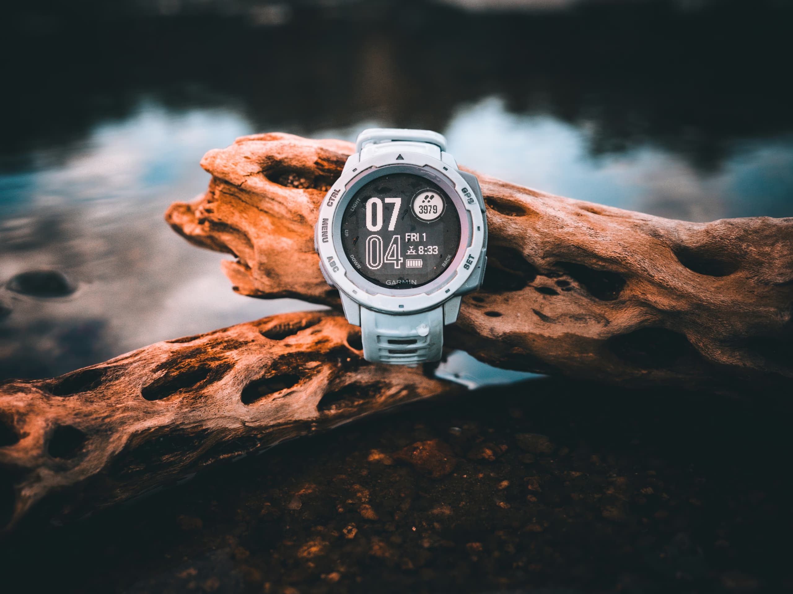Fitness watch on a log next to the water