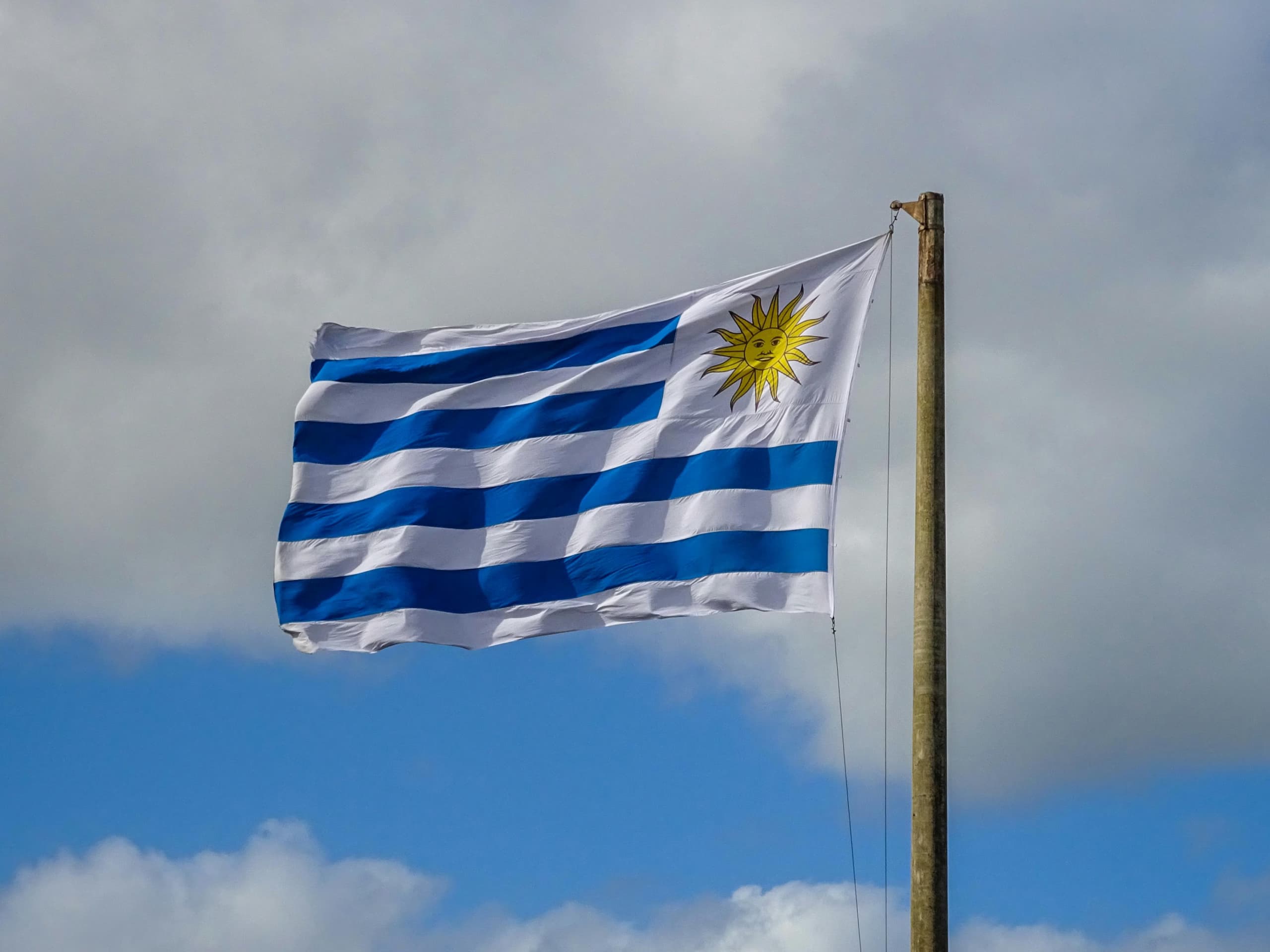 Flag of uruguay