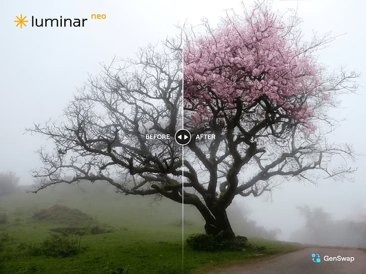 luminar neo