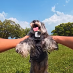 Insta360 GO Ultra