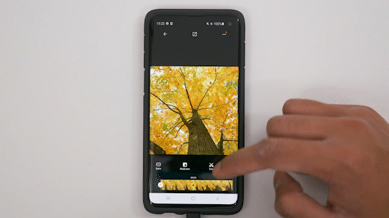 Insta360 App Cropping Option
