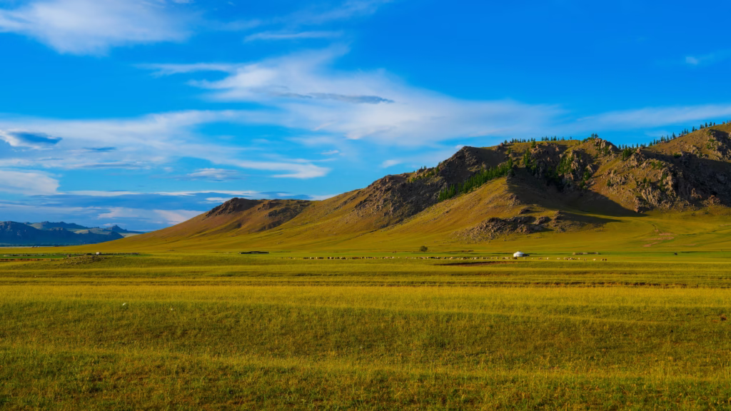 Arkhangai province ikh tamir sum north tamir valley 2024 08 01 mongolia