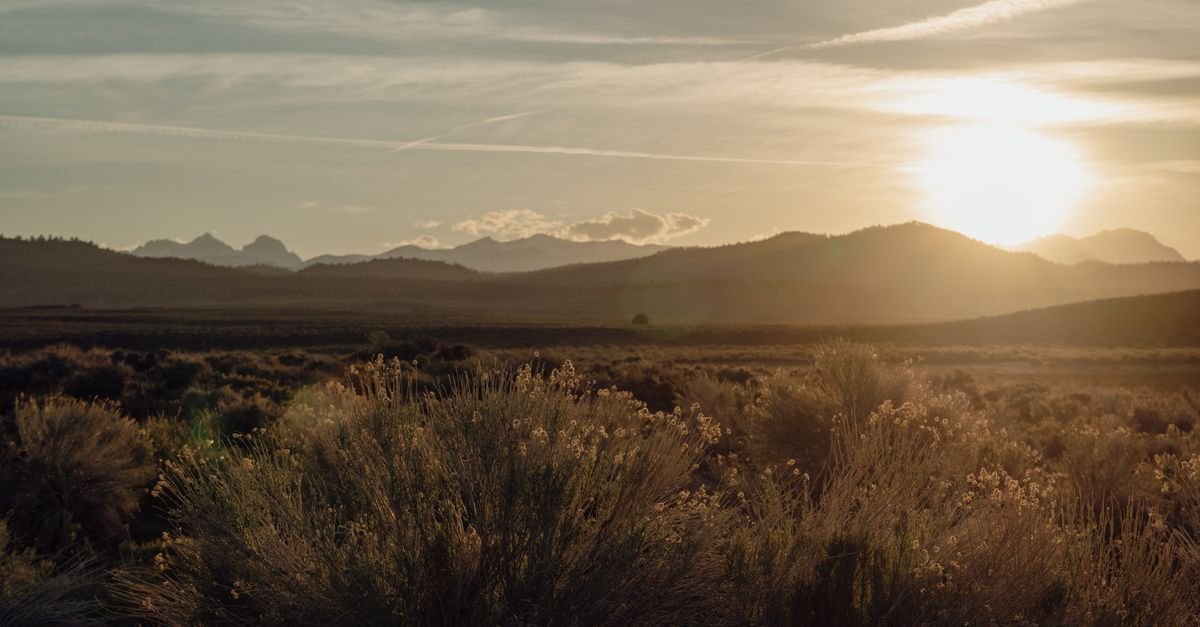 Paysage baigné d’une lumière dorée en fin de journée