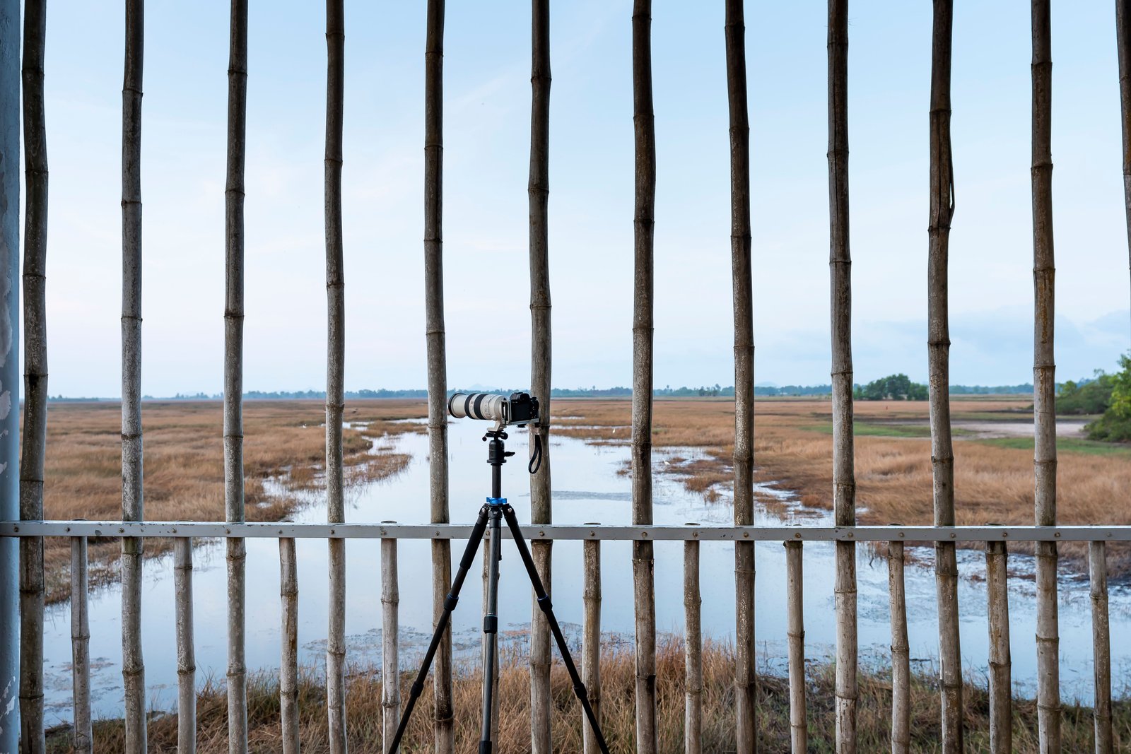Appareil photo sur trépied face à un paysage extérieur