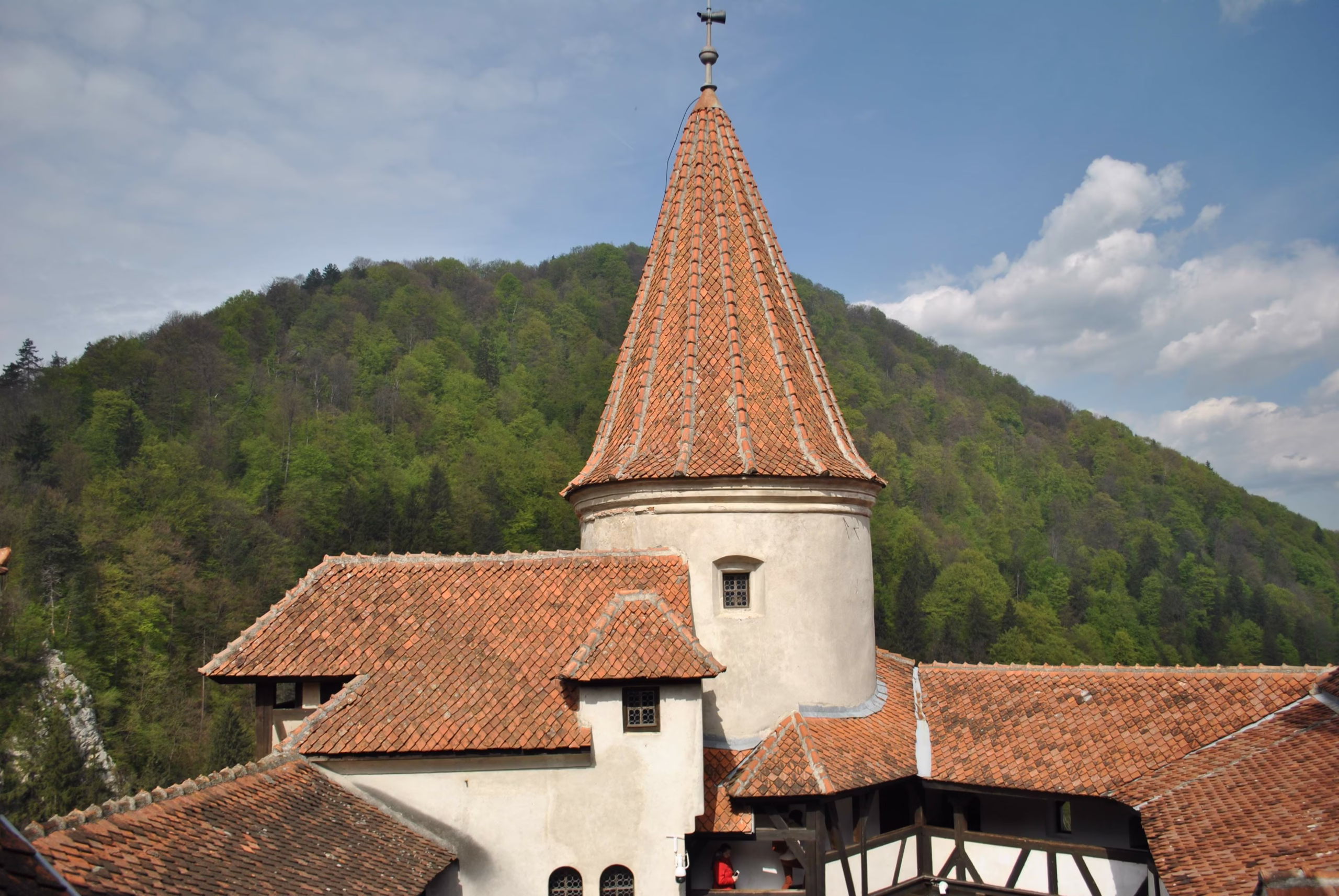 Vue du château de Bran et des collines boisées en Roumanie