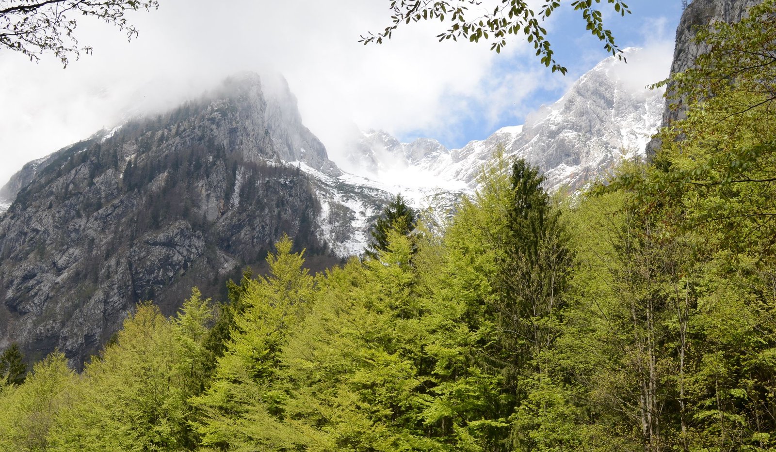 Paysage montagneux du parc national du Triglav en Slovénie